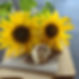 Flowers with Boozy gelato